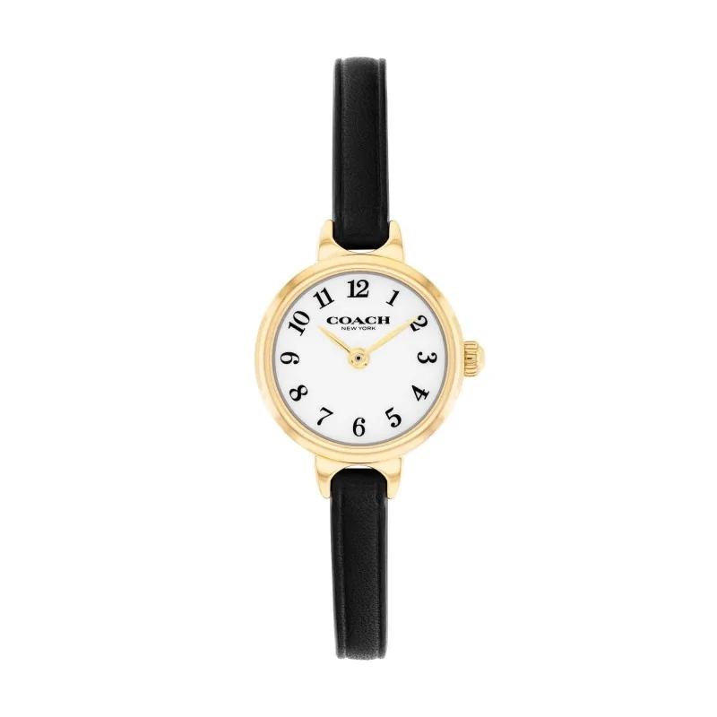 Coach Iris 22mm Ladies Watch 14504654