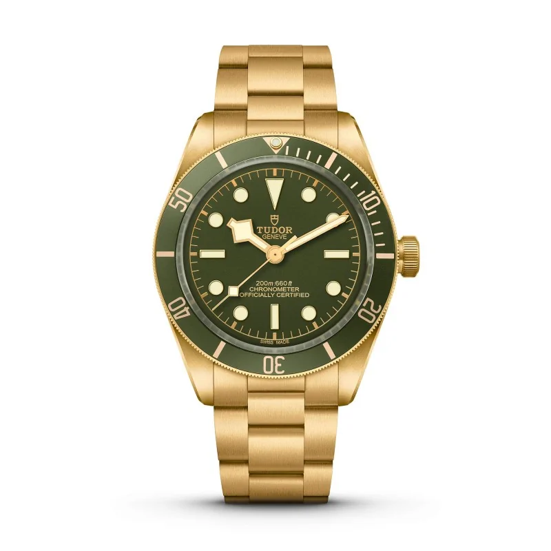 TUDOR Black Bay 58 18K Mens Watch M79018V-0006