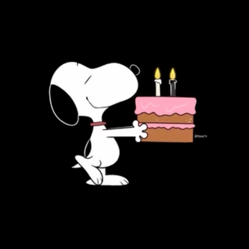 Snoopy birthday cake image with black and white candles