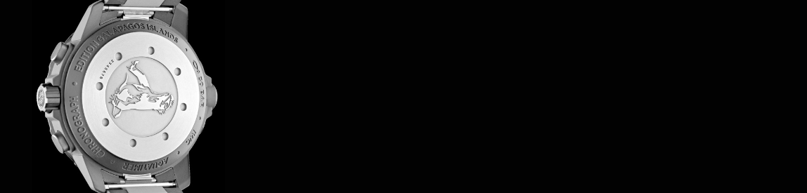 iwc aquatimer watch engraved case back 