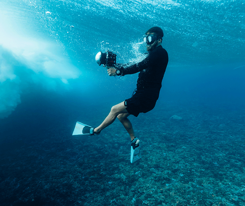 CH_New_Arrivals_800x672px