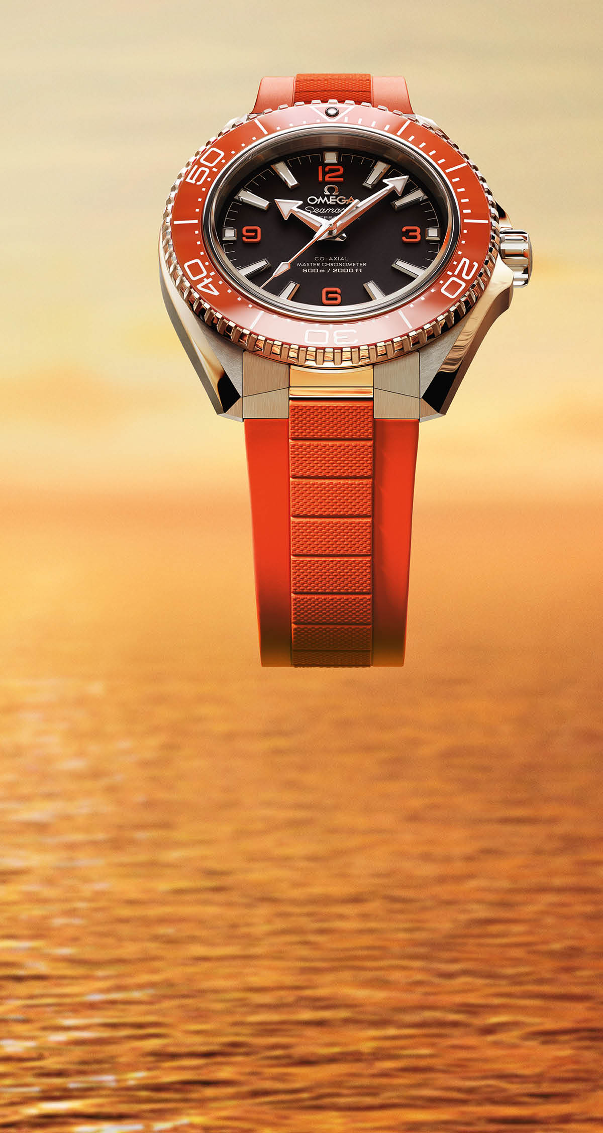 CHISHOLM_HUNTER_1200x2255_PO30