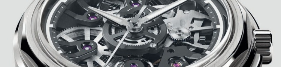 back of christopher ward twelve x watch