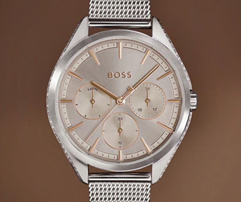 All Hugo Boss Watches