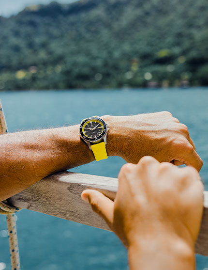 New_In_H82395332_430x557px